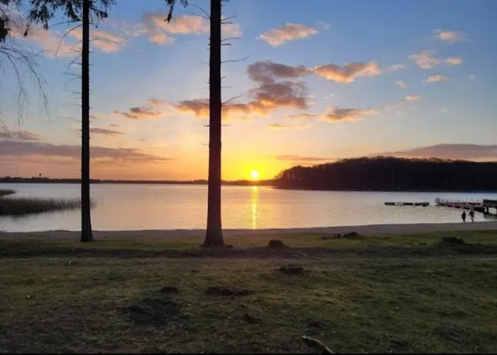 Przyczepa Holenderska キャンプ場