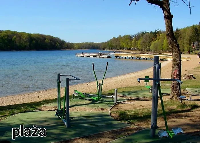 キャンプ場 Przyczepa Holenderska *