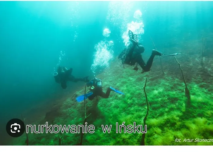 Przyczepa Holenderska